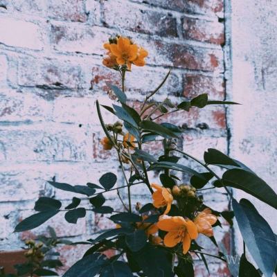 南宫体育app下载安装下载手机版截图